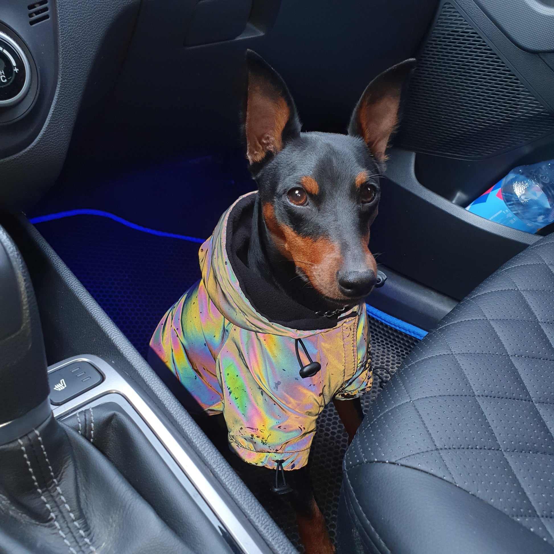 Rainbow Reflektierender Hunde Hoodie mit Kapuze