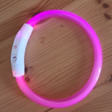 LED-Hundehalsband mit USB für die Nacht