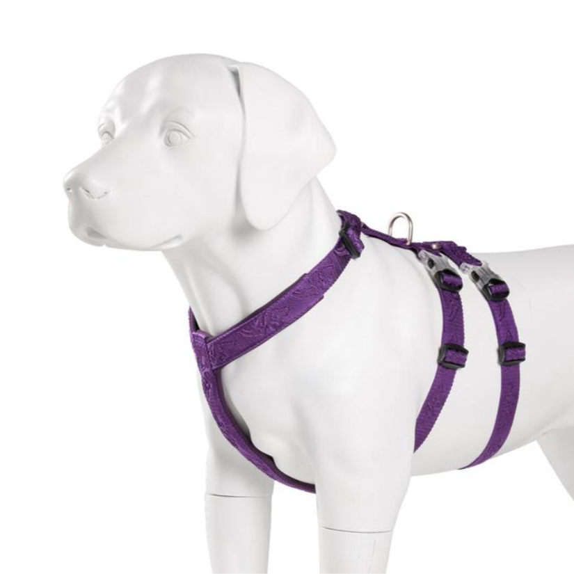 TRUELOVE Pet Harness Doppel-H Nylon Personalisierte Hund Harness KEINE PULL Reflektierende Atmungsaktive Einstellbare YH1803