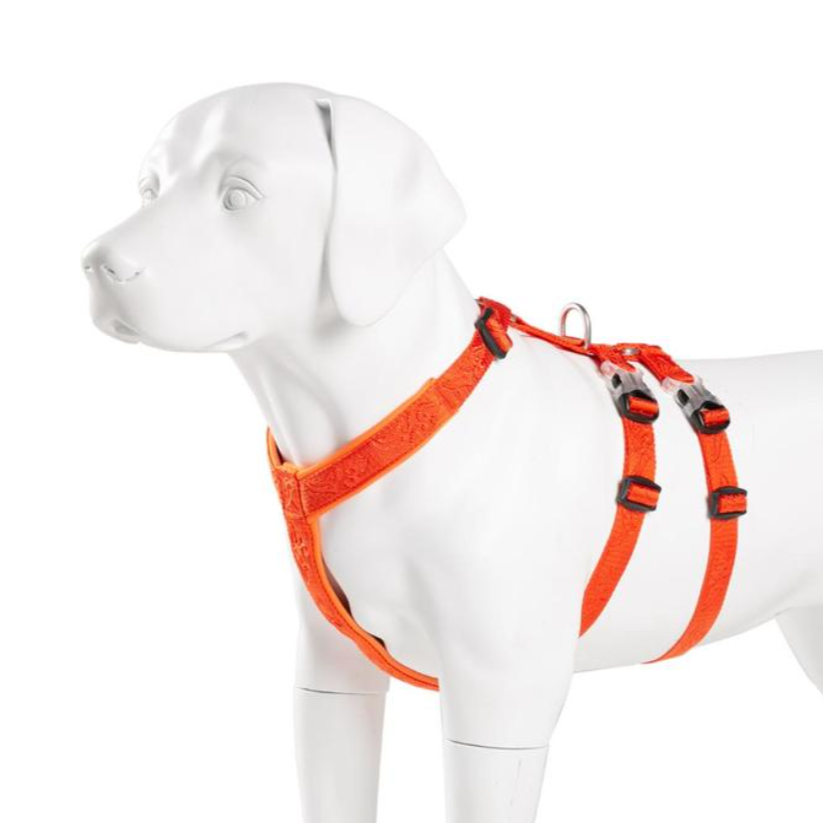 TRUELOVE Pet Harness Doppel-H Nylon Personalisierte Hund Harness KEINE PULL Reflektierende Atmungsaktive Einstellbare YH1803