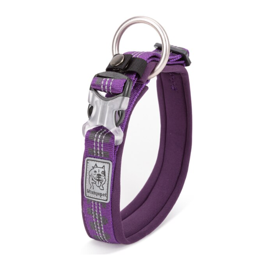 Truelove Haustier halsband bestes Neopren gepolstertes 3m reflektieren des Hunde halsband für große mittelgroße kleine Bonus-Hundetracker-Tag-Funktion yc1854