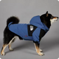 Stylish and functional gear for dog owners – essentials for walks and outings