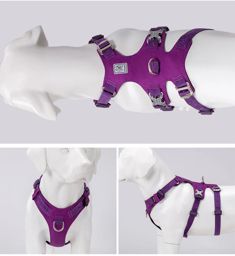 Eco-friendly dog ​​harness made from recycled materials