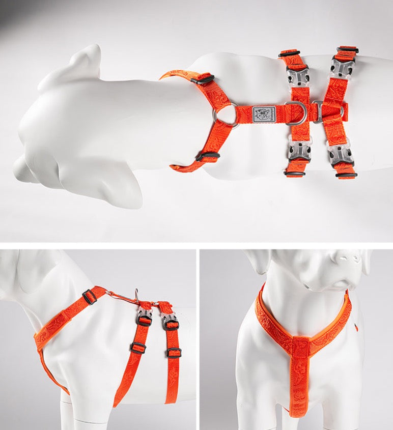 TRUELOVE Pet Harness Doppel-H Nylon Personalisierte Hund Harness KEINE PULL Reflektierende Atmungsaktive Einstellbare YH1803