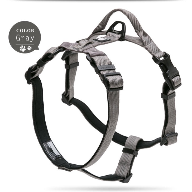 Truelove Pet Harness Einstellbare Reflektierende Nylon mit Kragen Leine LED Licht Neopren Padded Wandern Laufen TLH6171 Dropshipping