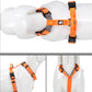 Truelove Pet Harness Einstellbare Reflektierende Nylon mit Kragen Leine LED Licht Neopren Padded Wandern Laufen TLH6171 Dropshipping