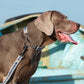 Truelove Hund Kragen P-Kette Outdoor Nylon Hohe Qualität Edelstahl Kette Einstellbare Reflektierende für Große Hund TrainingTLC5372
