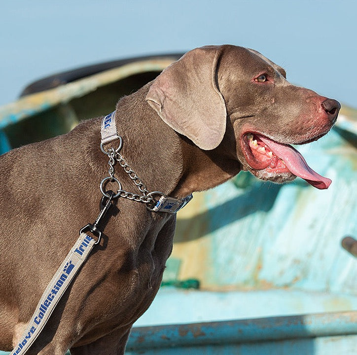 Truelove Hund Kragen P-Kette Outdoor Nylon Hohe Qualität Edelstahl Kette Einstellbare Reflektierende für Große Hund TrainingTLC5372