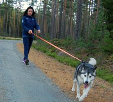 Truelove Hund Laufende Bungee Leine hand Waistworn Einstellbare Nylon Elastische Versenkbare Hund Führt für Lauf Jogging Walking