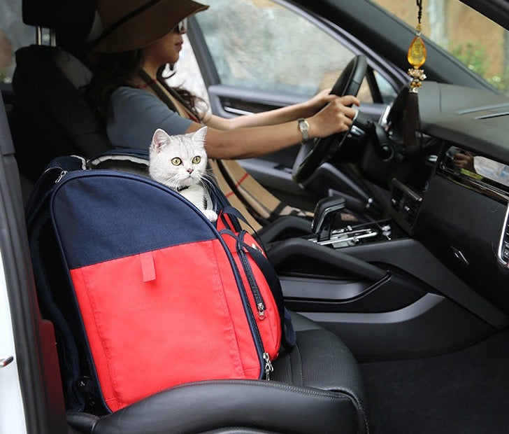 Truelove Haustier Multifunktion rucksack Mode Katze und Hund Reisen Luxus Schulter tragbare faltbare Bichon Frise Teddy tlx1971