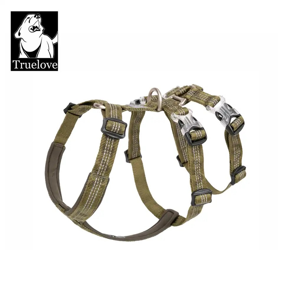 Eco-friendly dog ​​harness made from recycled materials