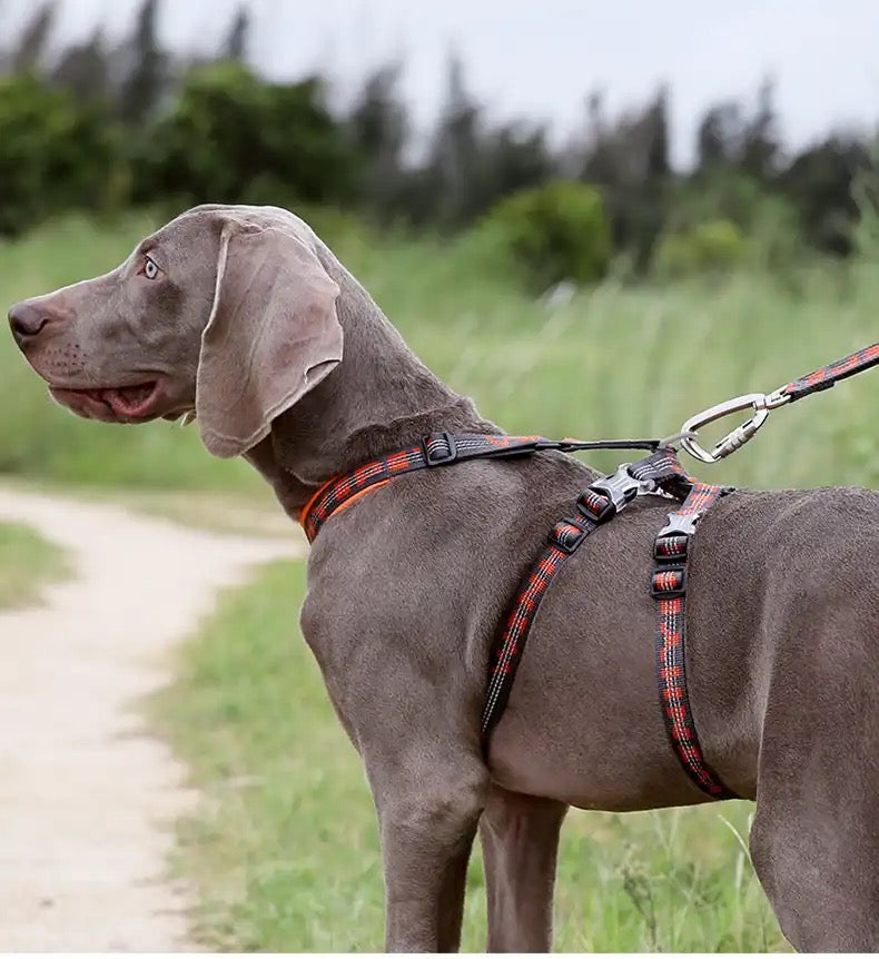 WINHYEPET Neopren gepolstertes und reflektierendes Doppel-H-Hundegeschirr