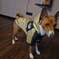 Wasserdichte Hundejacke mit Kapuze „Space Edition“, gold metallic, Rot, schwarz 