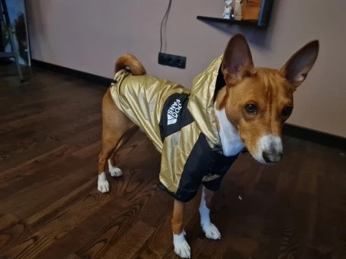 Wasserdichte Hundejacke mit Kapuze „Nature“