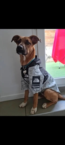 Wasserdichte Hundejacke mit Kapuze „Nature“