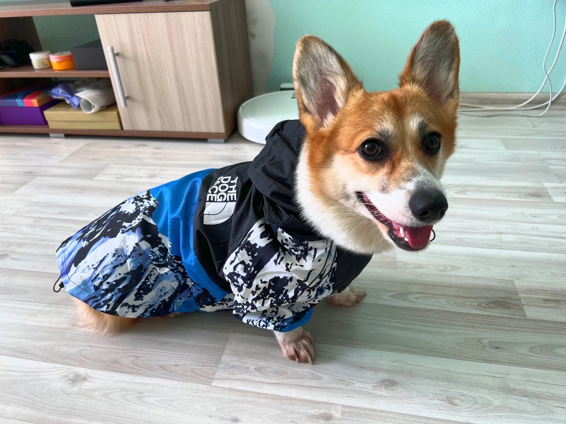 Wasserdichte Hundejacke mit Kapuze „Nature“