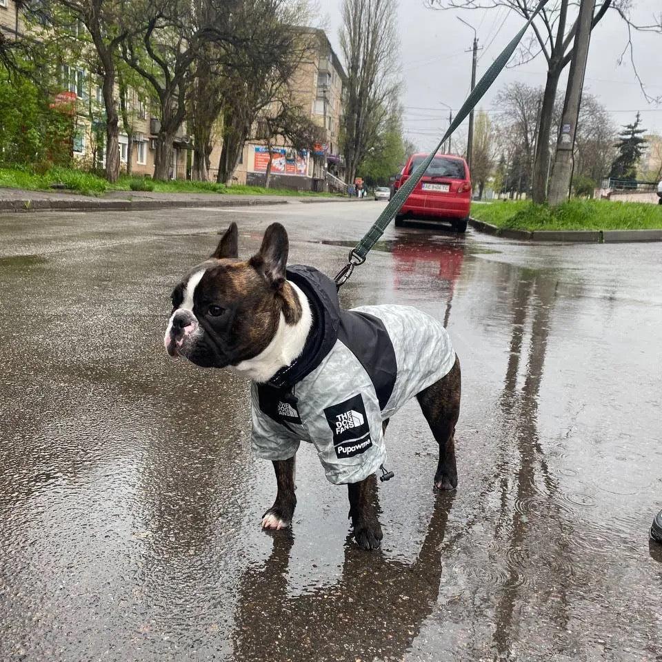 Wasserdichte Hundejacke mit Kapuze „Nature“