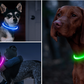 LED-Hundehalsband mit USB für die Nacht