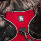 Reflective dog harness with 3M reflection