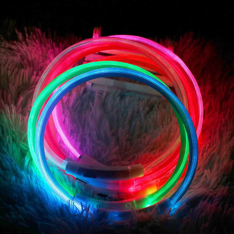 LED-Hundehalsband mit USB für die Nacht