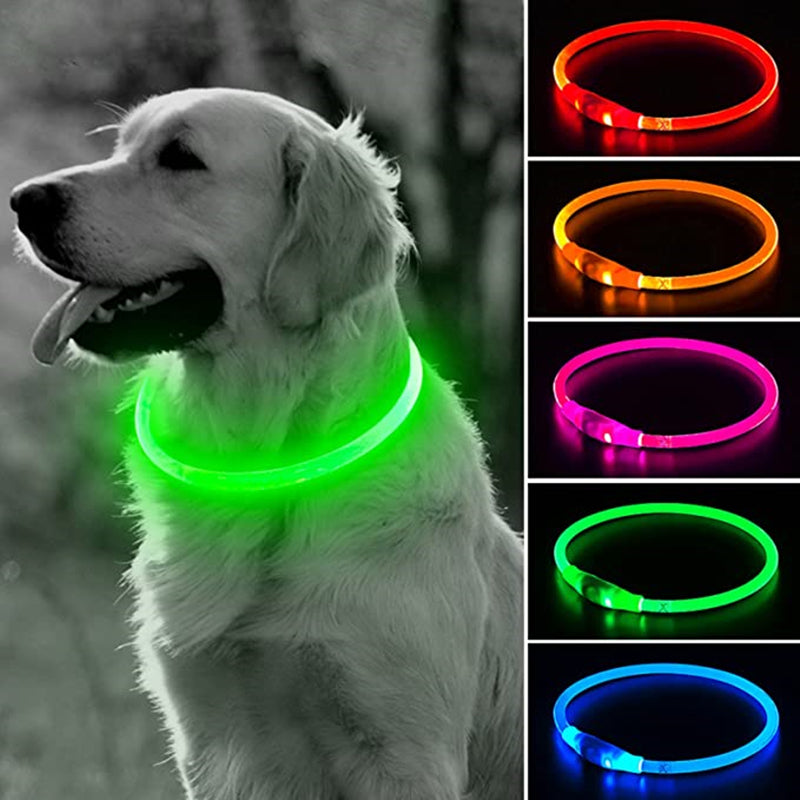 LED-Hundehalsband mit USB für die Nacht