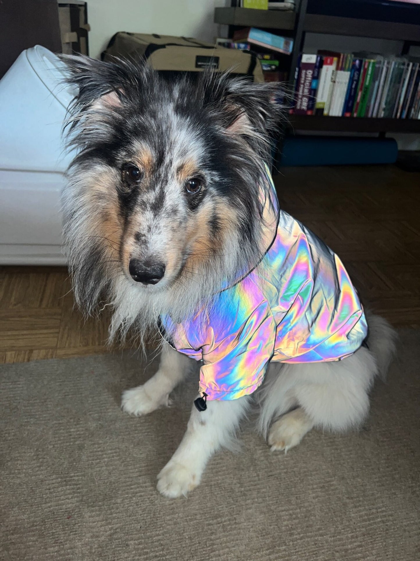 Rainbow Reflektierende Hundejacke mit Kapuze